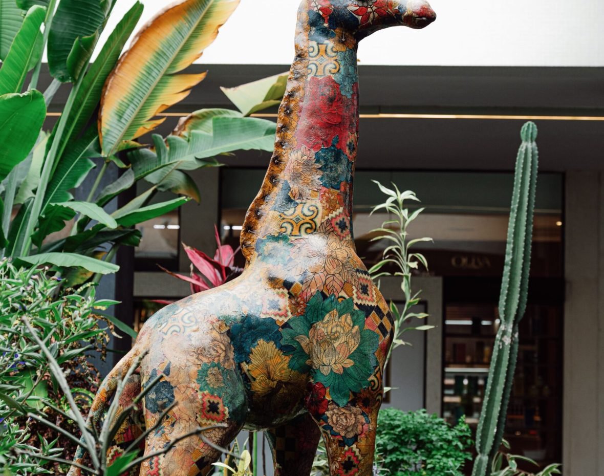 Edited in Tezza with: Vintage & KODAK GOLD